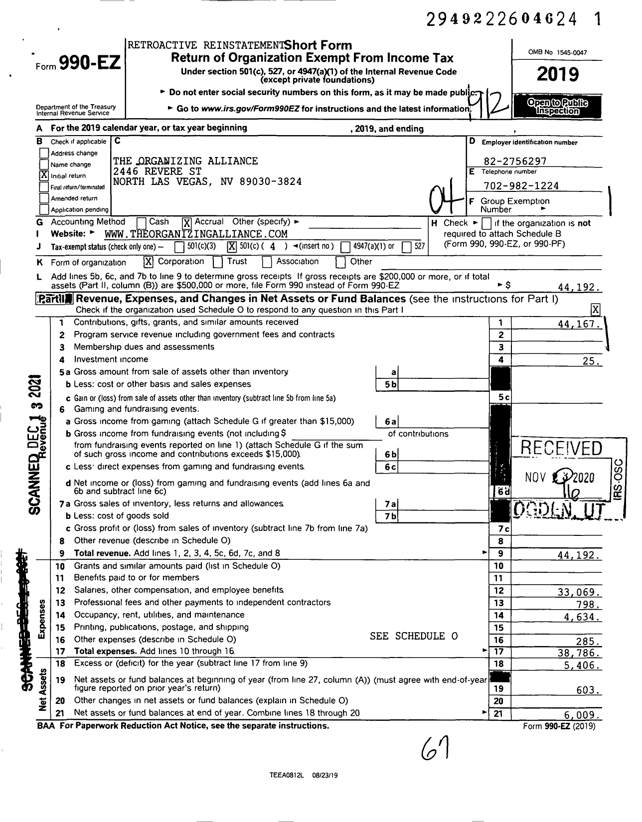 Image of first page of 2019 Form 990EO for The Organizing Alliance