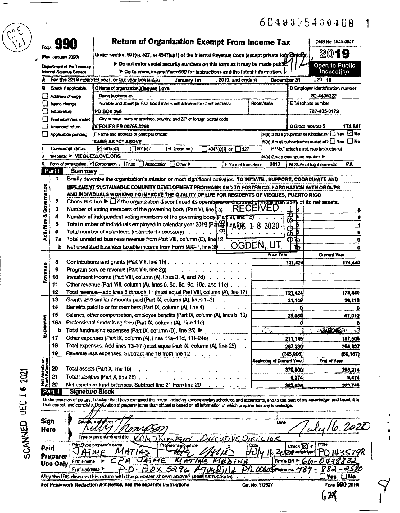 Image of first page of 2019 Form 990 for ViequesLove