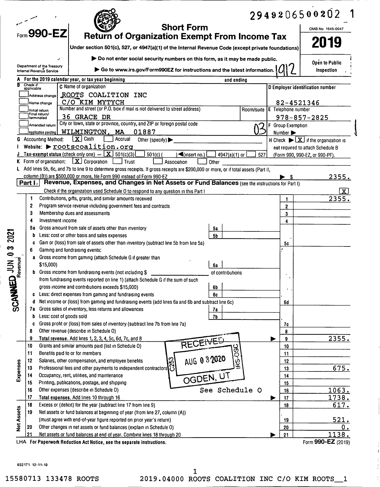 Image of first page of 2019 Form 990EZ for Roots Coalition