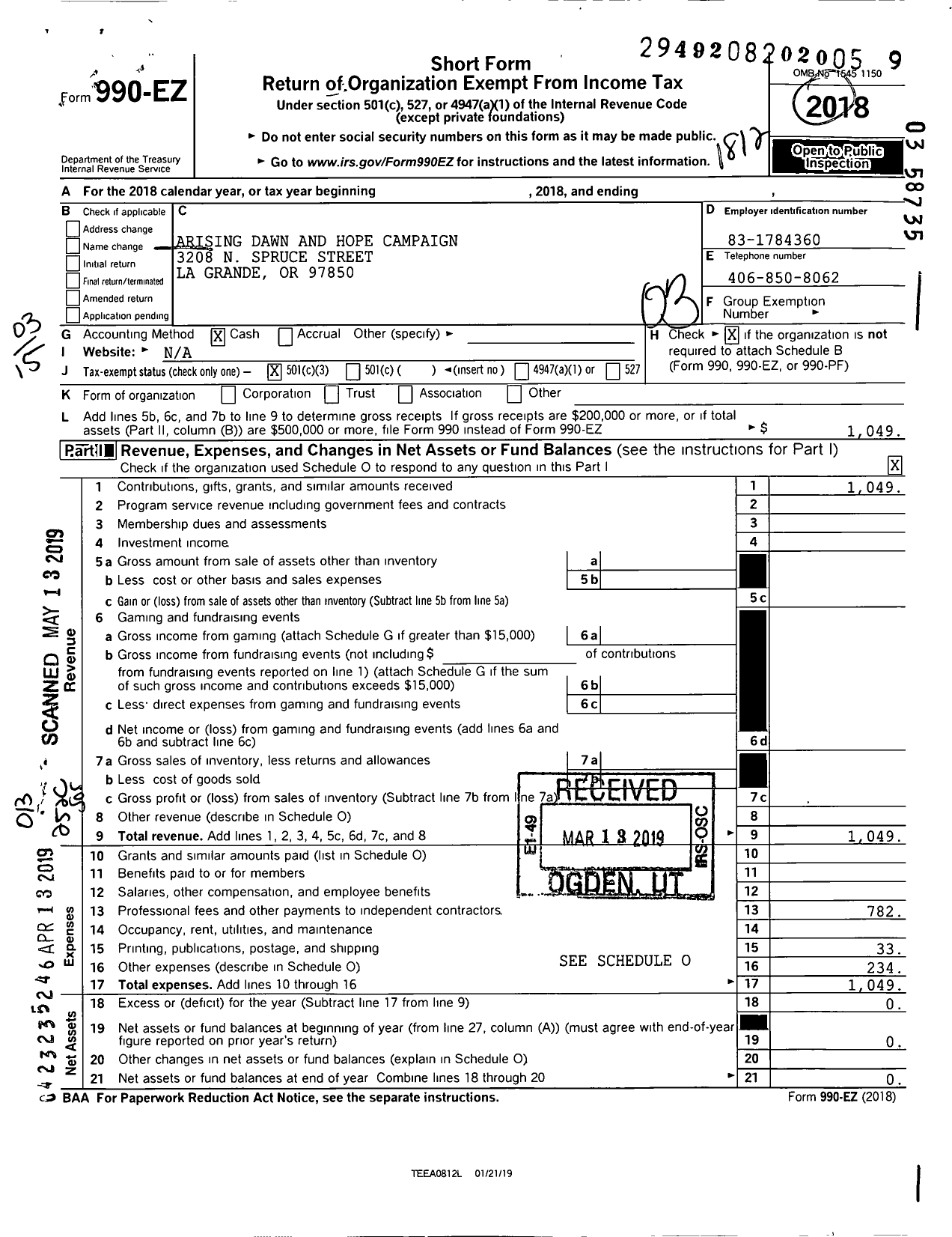 Image of first page of 2018 Form 990EZ for Arising Dawn and Hope Campaign