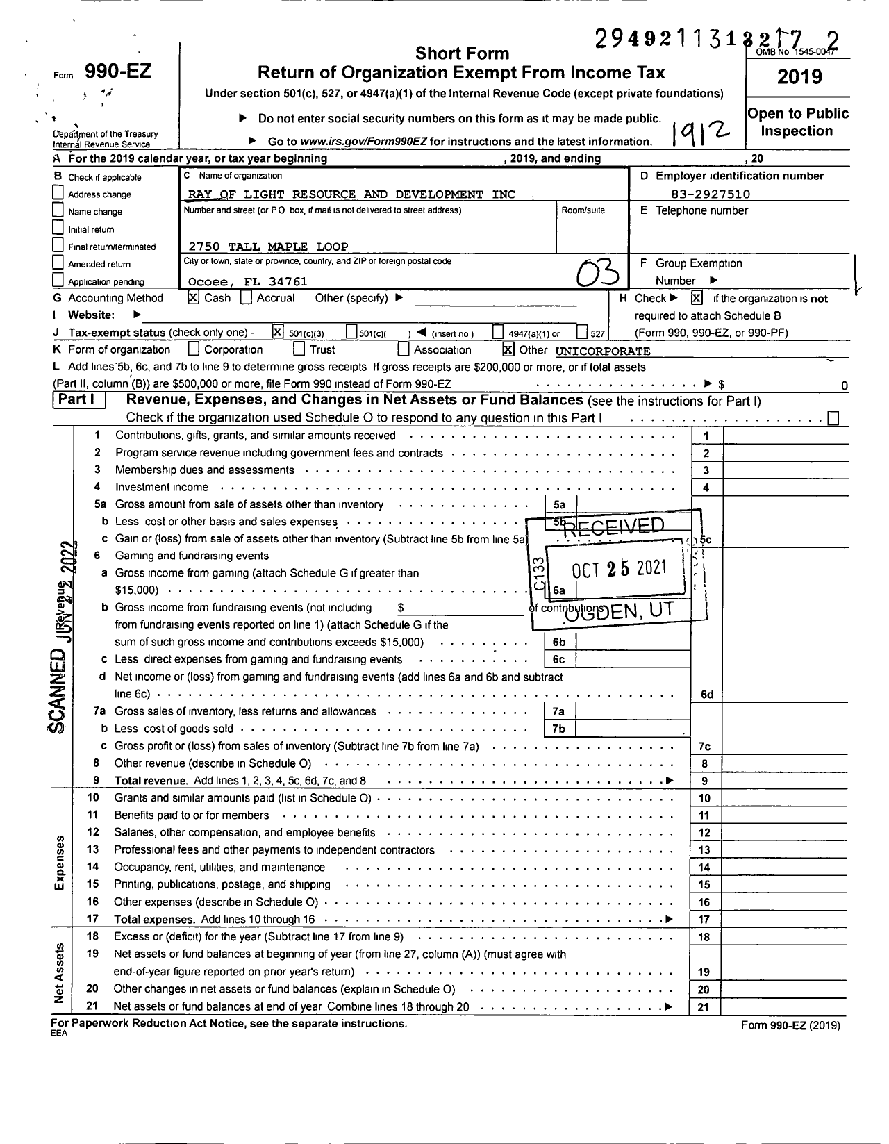 Image of first page of 2019 Form 990EZ for Ray of Light Resource and Development