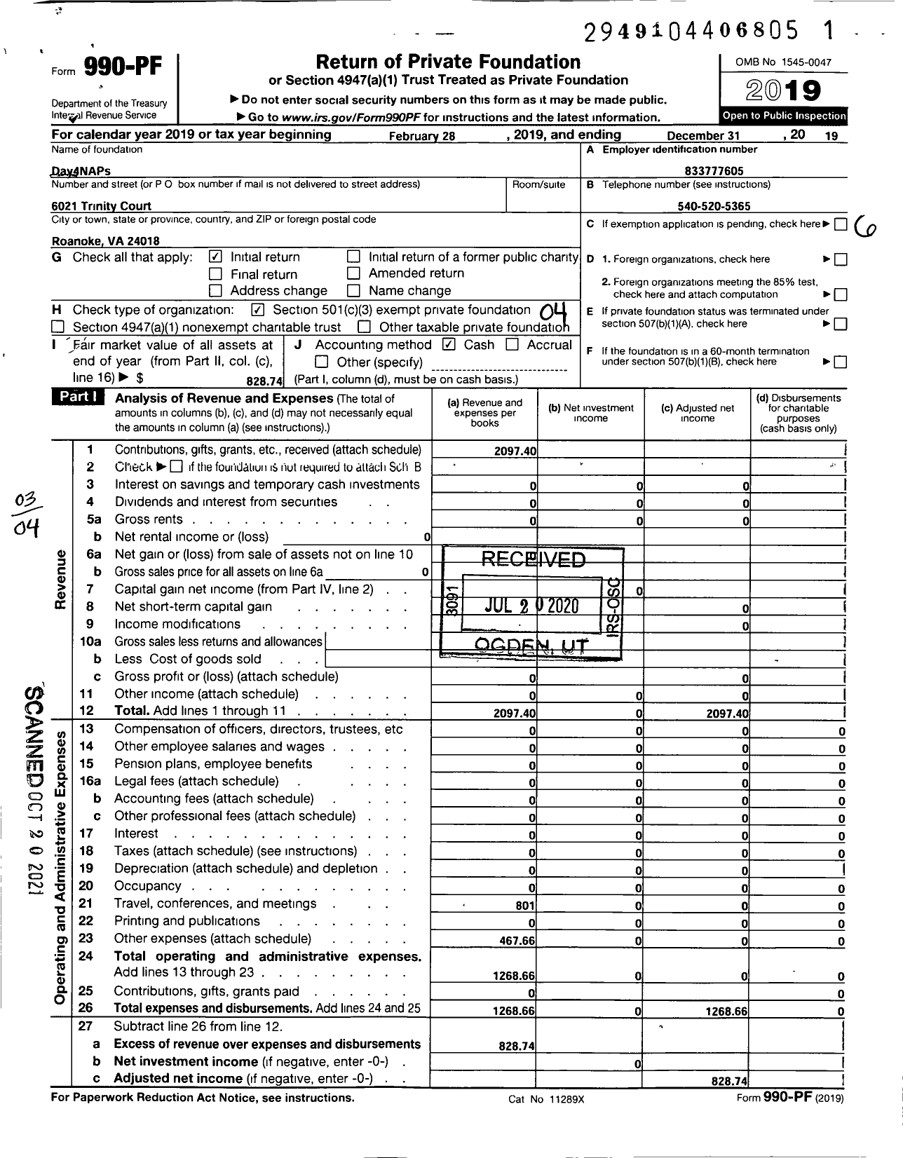 Image of first page of 2019 Form 990PF for Day4naps