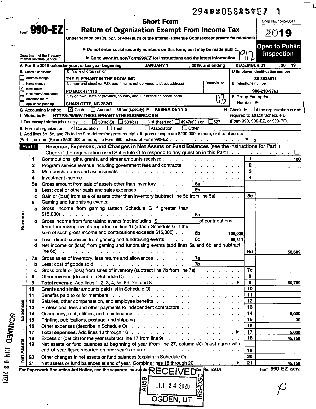 Image of first page of 2019 Form 990EZ for Elephant in the Room