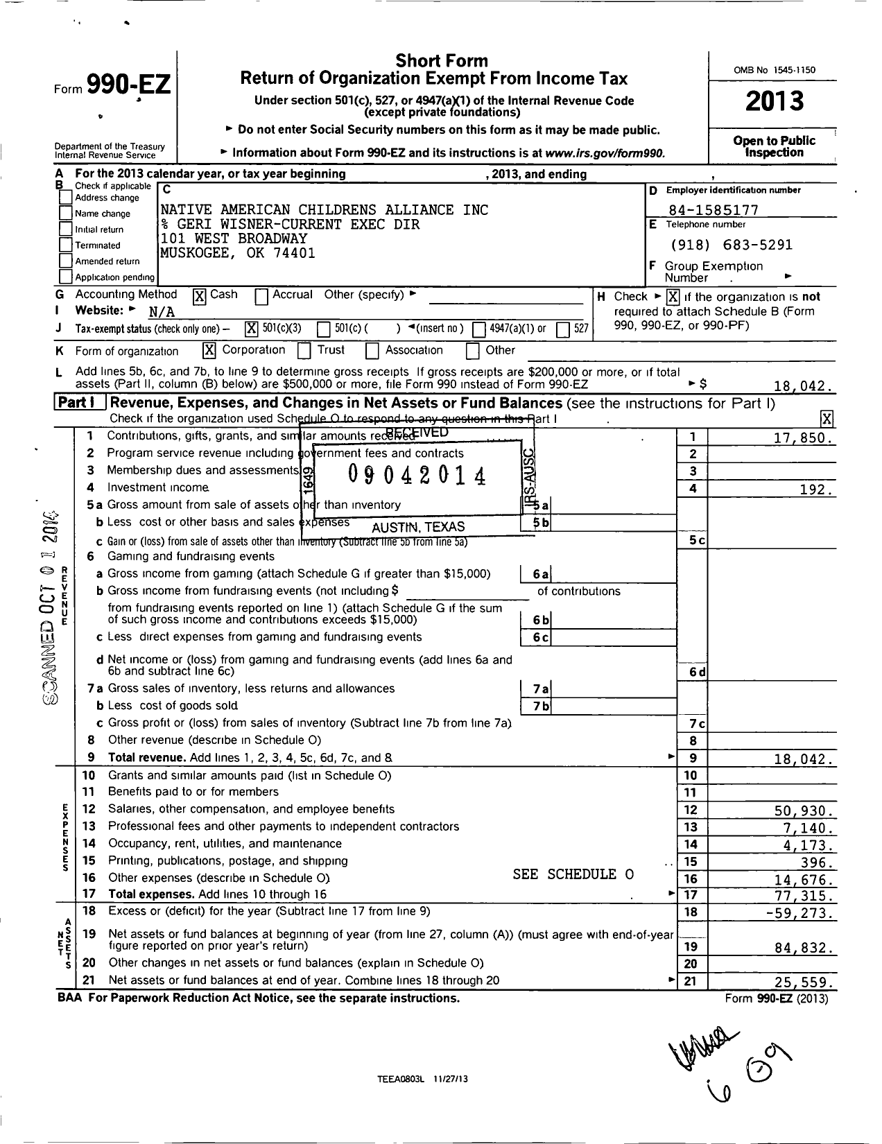 Image of first page of 2013 Form 990EZ for Native American Childrens Alliance