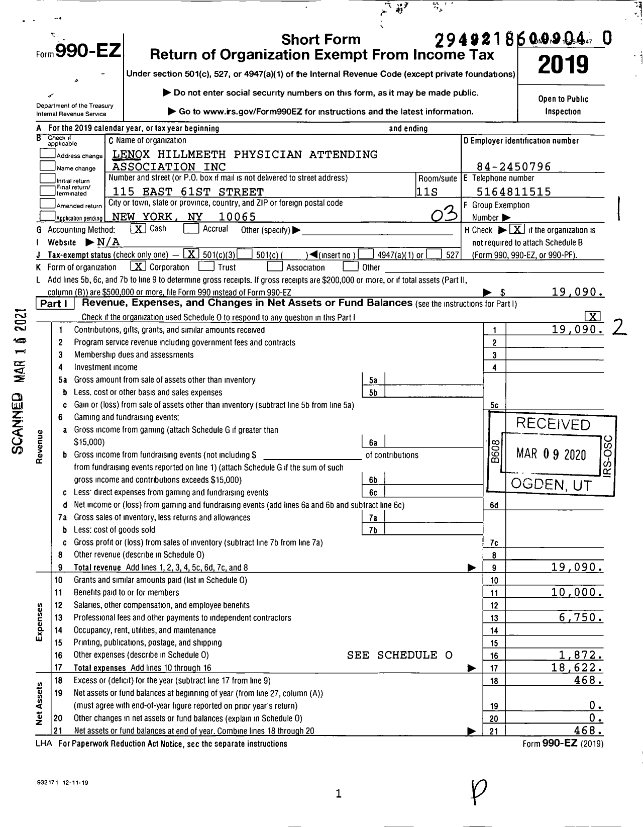 Image of first page of 2019 Form 990EZ for Lenox Hillmeeth Physician Attending Association