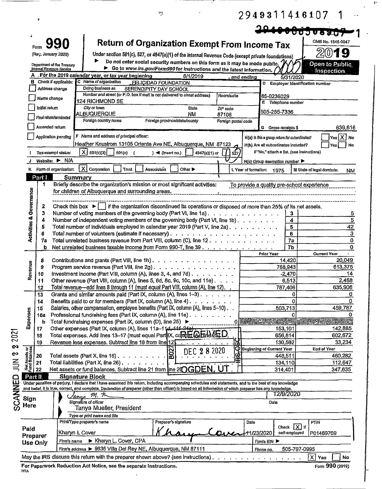 Image of first page of 2019 Form 990 for Serendipity Day School