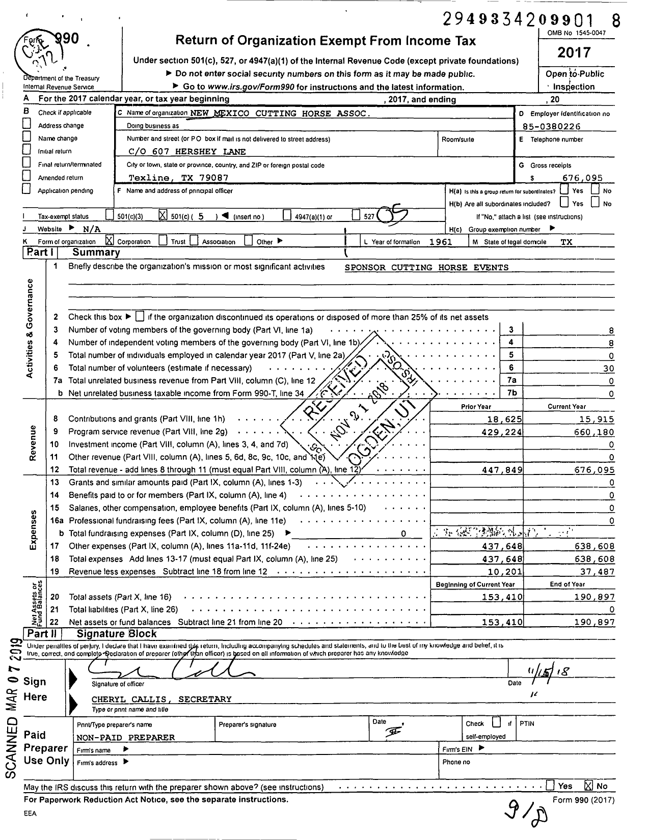 Image of first page of 2017 Form 990O for New Mexico Cutting HorseAssociation