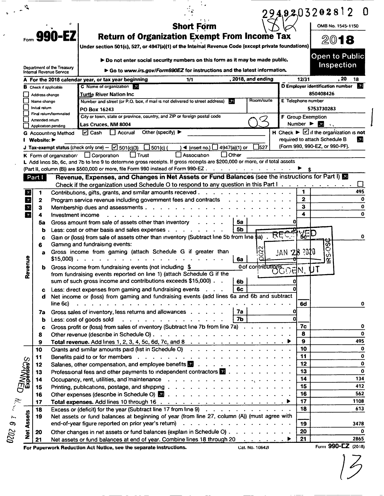 Image of first page of 2018 Form 990EZ for Turtle River Nation