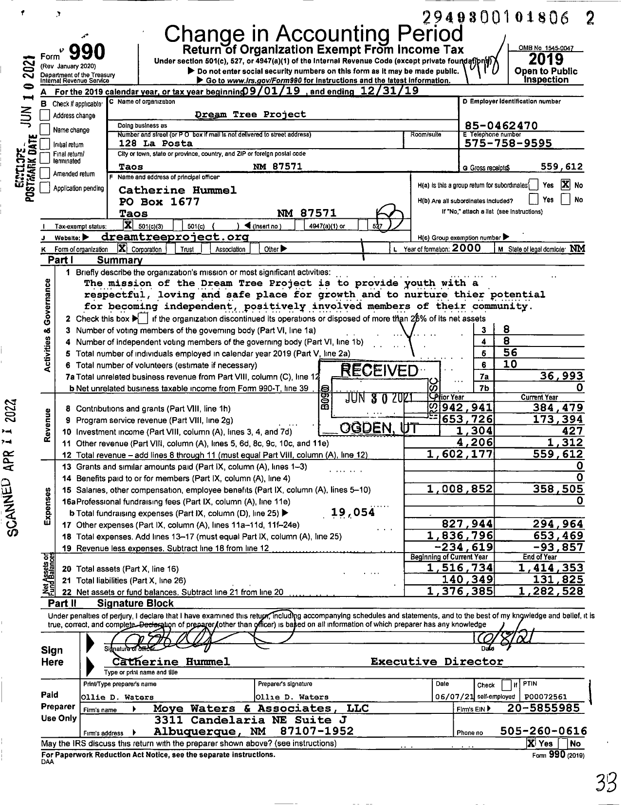 Image of first page of 2019 Form 990 for Dream Tree Project