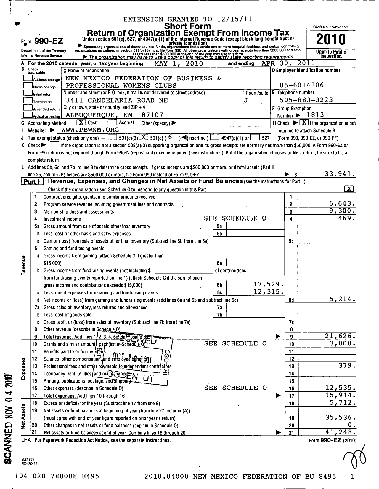 Image of first page of 2010 Form 990EO for New Mexico Federation of Business and Professional Womens Clubs