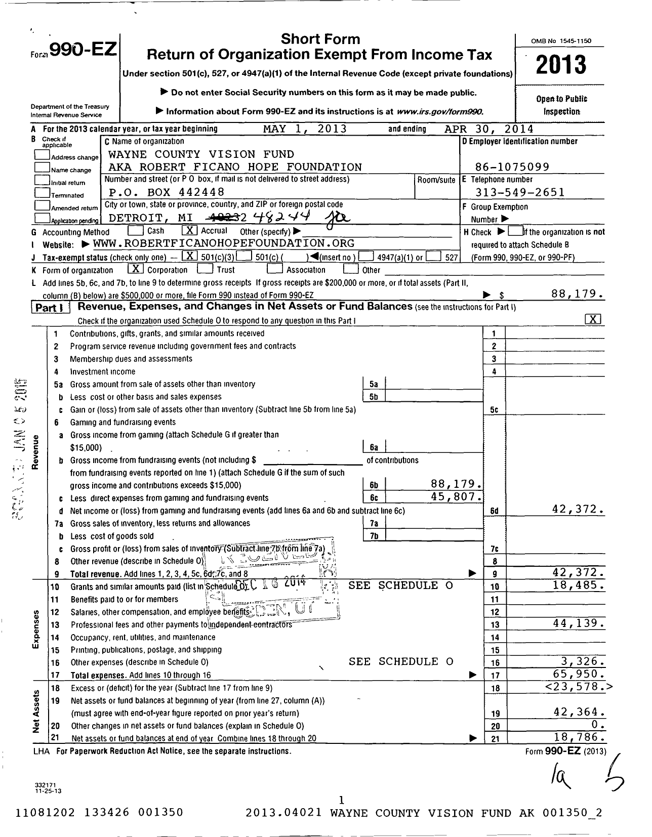 Image of first page of 2013 Form 990EZ for Wayne County Vision Fund