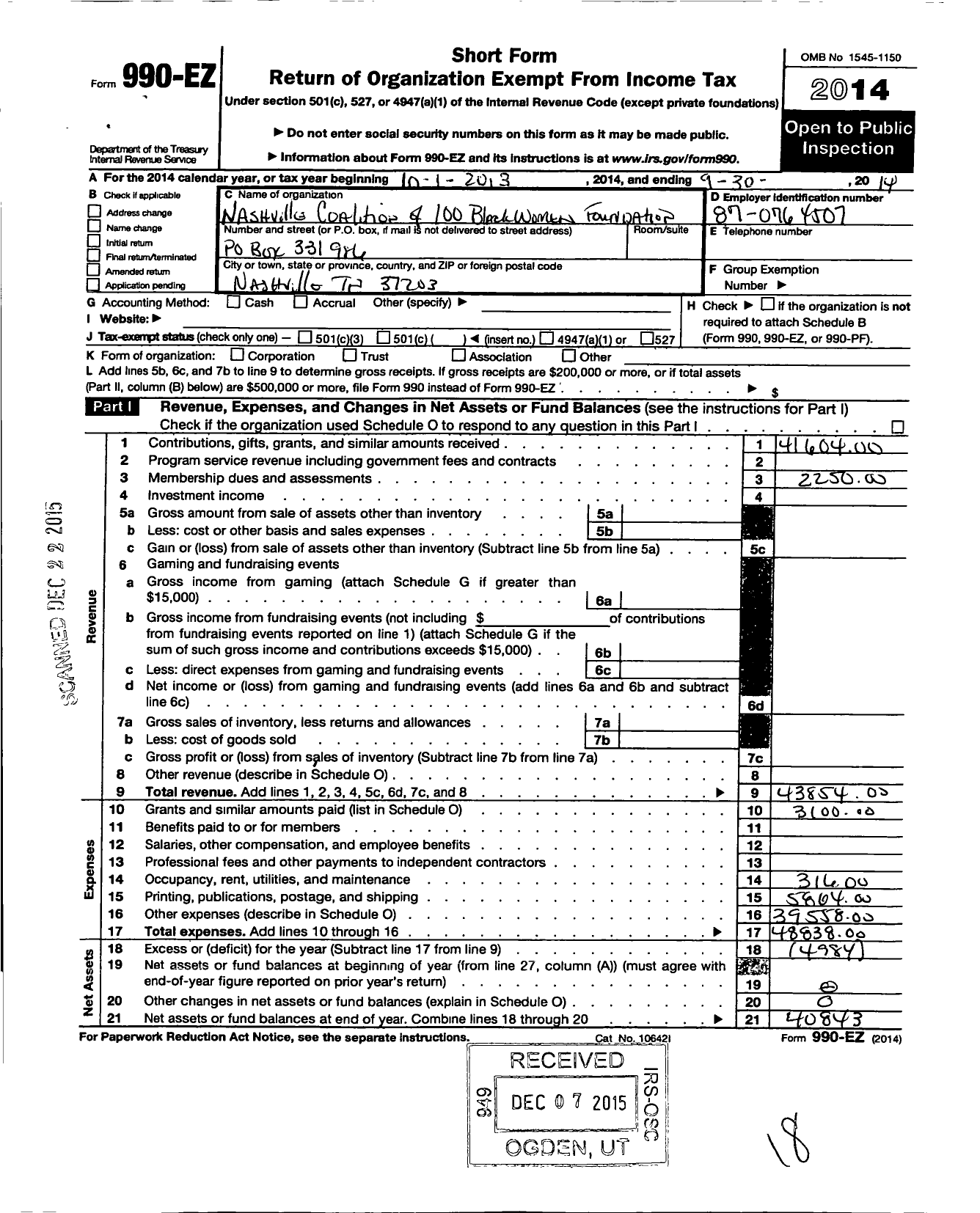 Image of first page of 2013 Form 990EO for Nashville Foundation for Women of Color