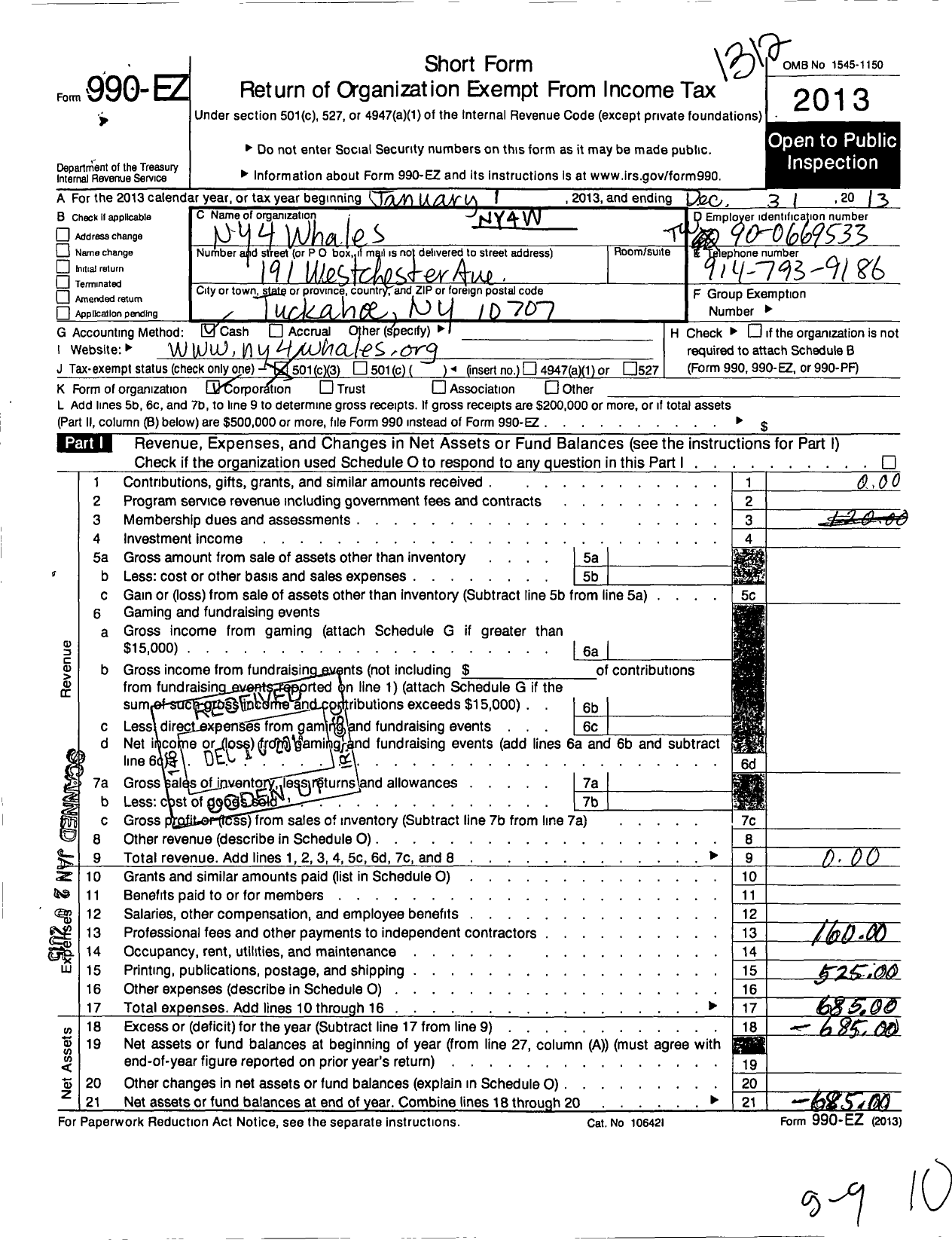 Image of first page of 2013 Form 990EZ for Ny4whales