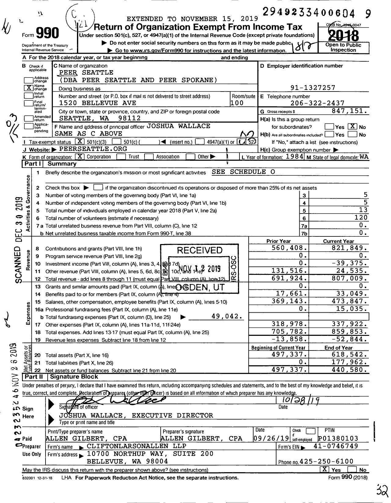 Image of first page of 2018 Form 990 for Peer Washington