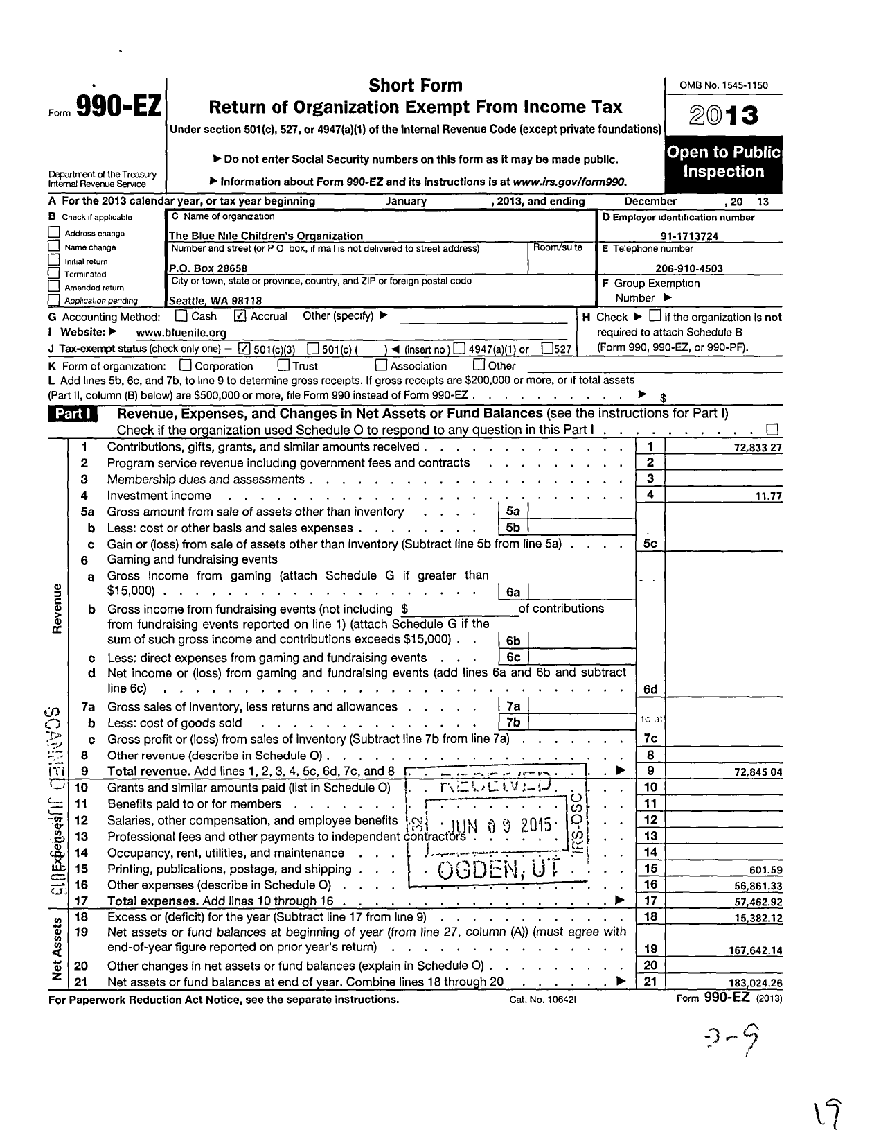 Image of first page of 2013 Form 990EZ for Blue Nile Childrens Organization