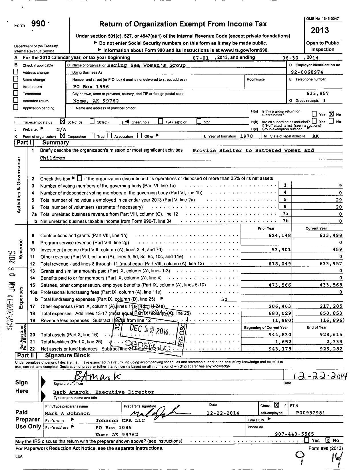 Image of first page of 2013 Form 990 for Bering Sea Womans Group