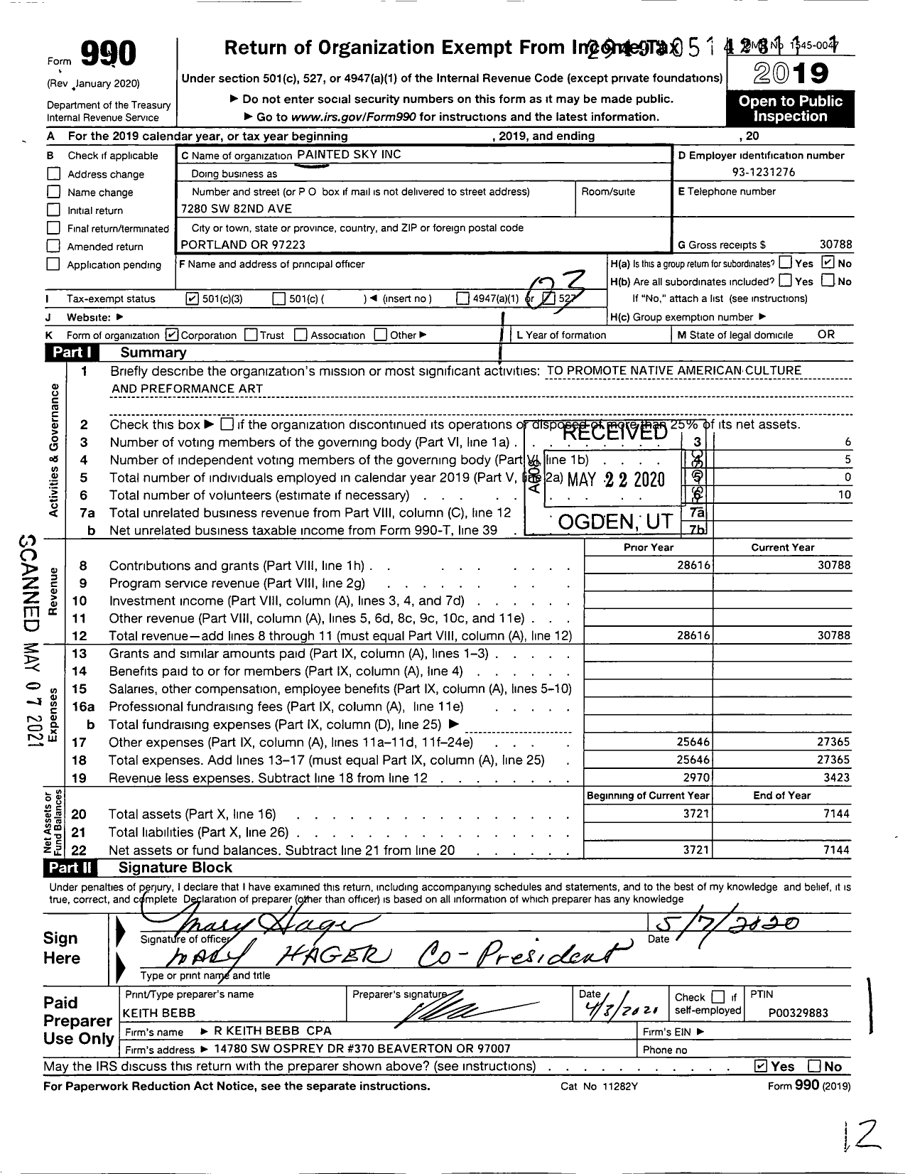 Image of first page of 2019 Form 990 for Painted Sky