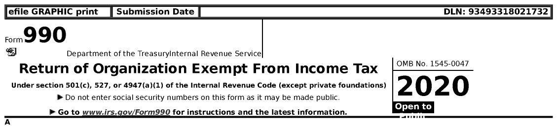 Image of first page of 2020 Form 990 for Na Leo Pulama O Maui